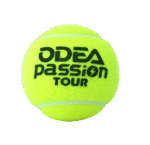 ODEA SPORTS 57% Wool Championship Padel Tennis Ball – Premium Quality, High Bounce, Long-Lasting Felt | Custom Brand OEM | Wholesale Price - Image 4