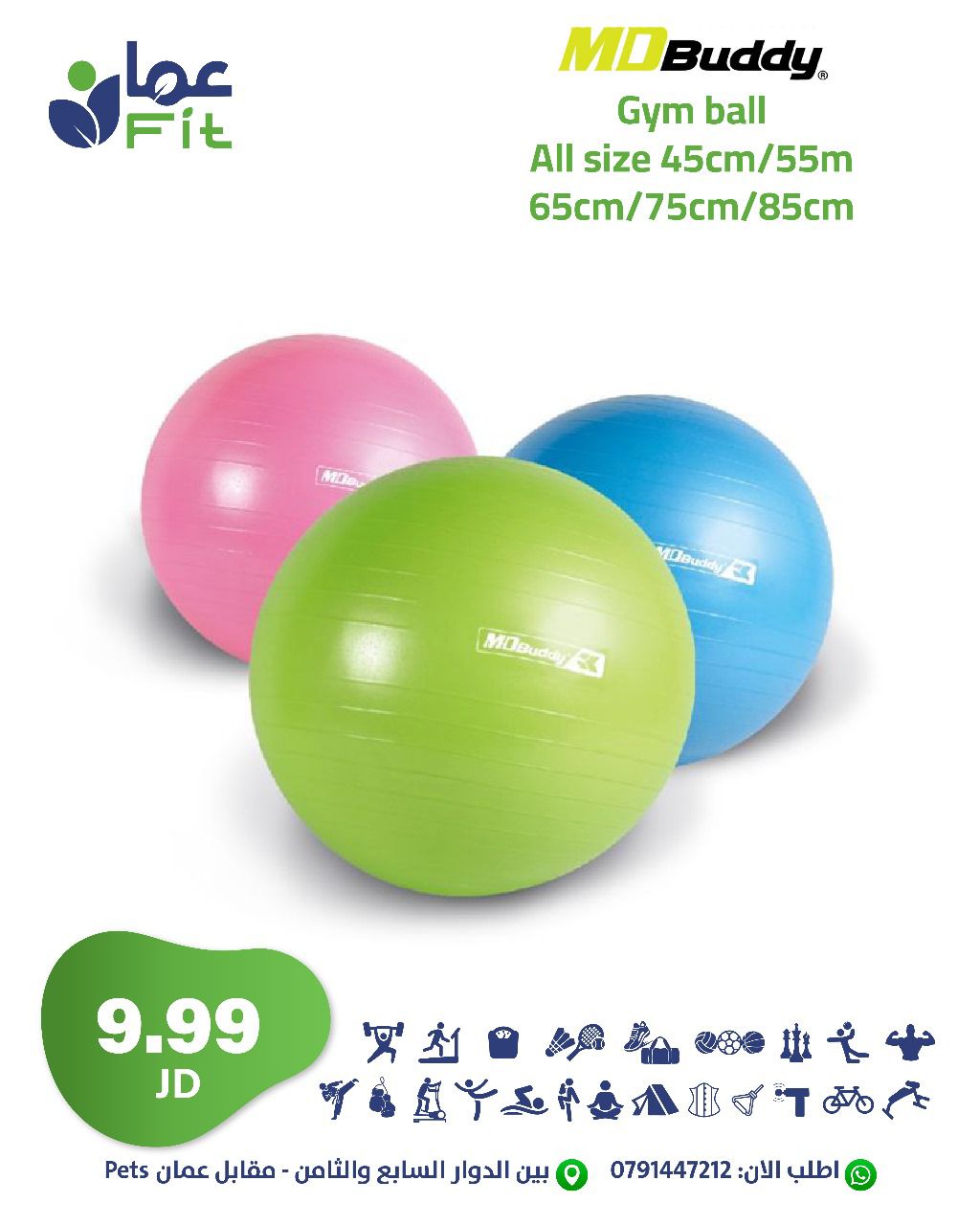 WhatsApp Image 2025-11-27 at 1.01.17 PM MDBuddy Gym ball All size - Image 1